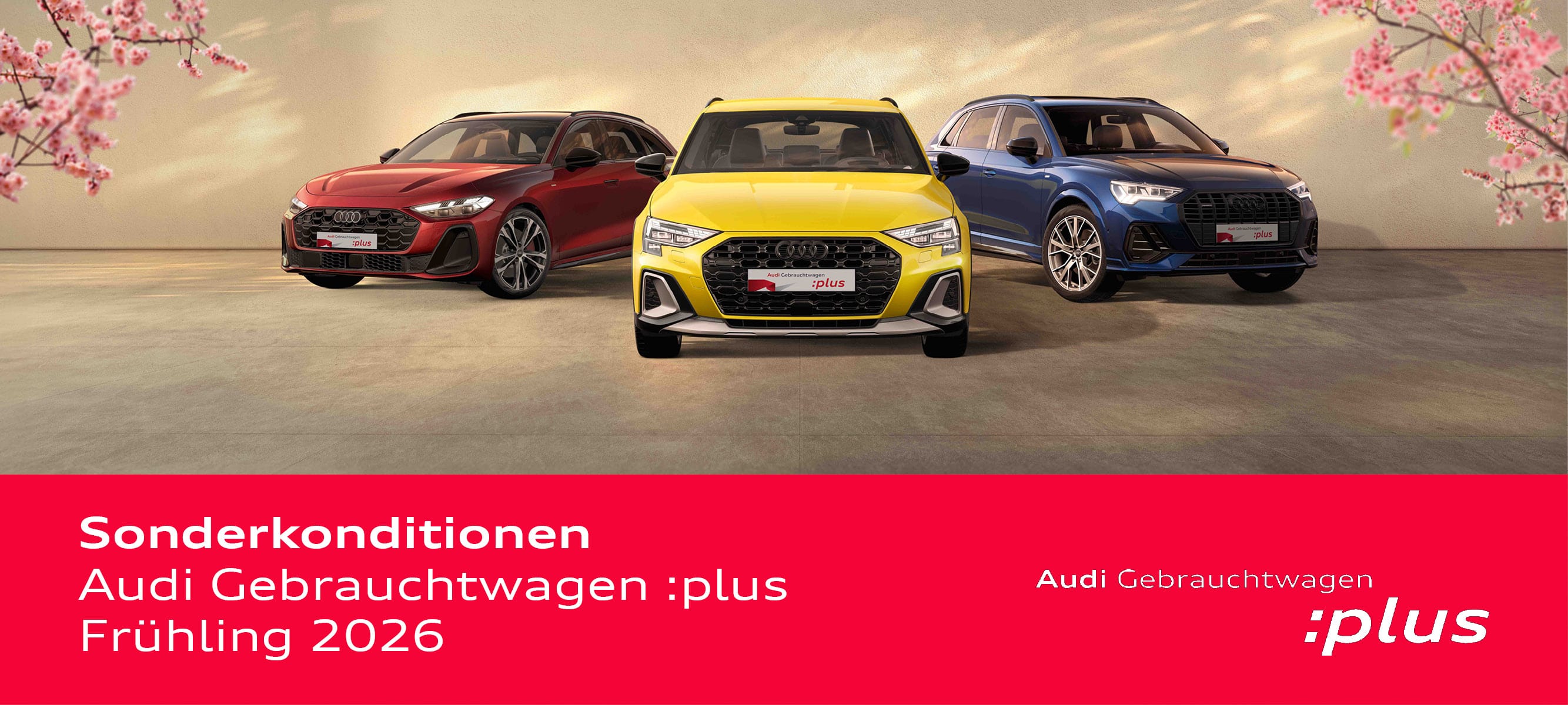 26-02-25_GW-plus-Frühling_News 2000x1000px.jpg