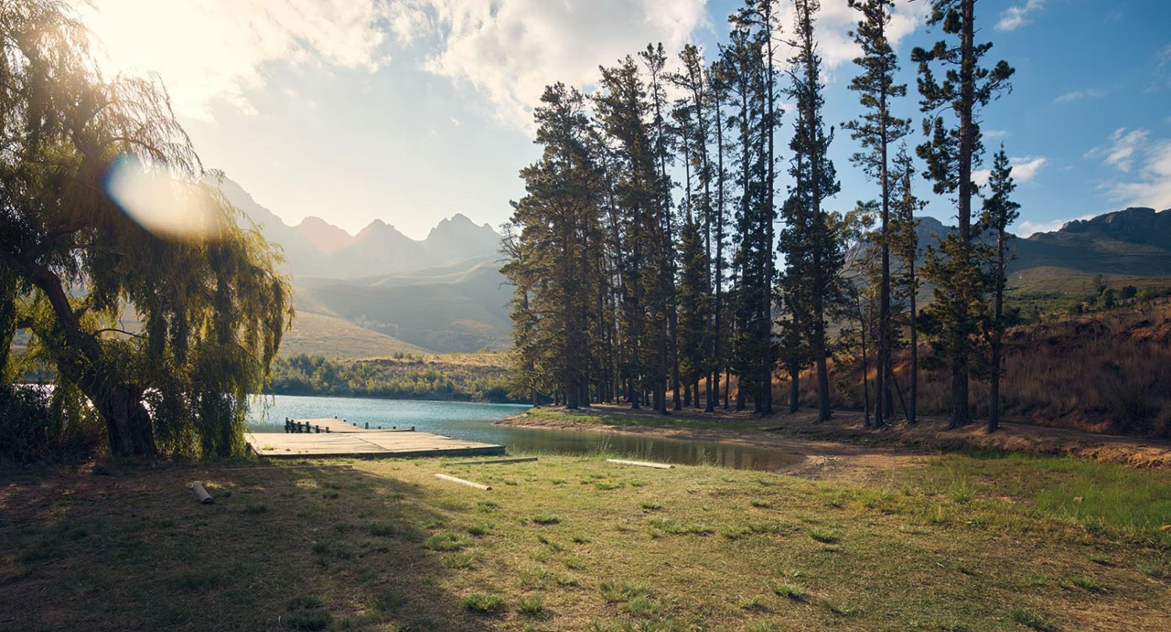 Header Frühling.jpg
