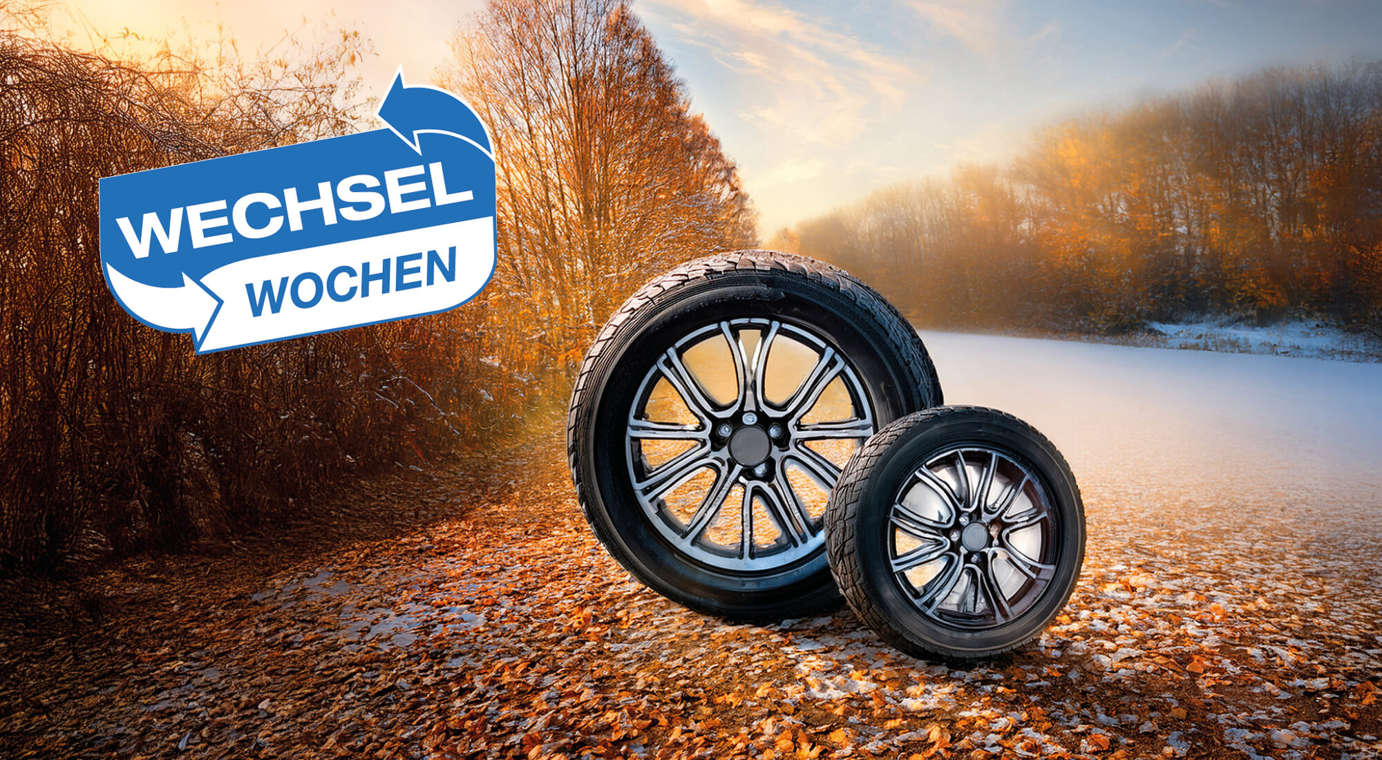 Wechselwoche Serviceseite.jpg