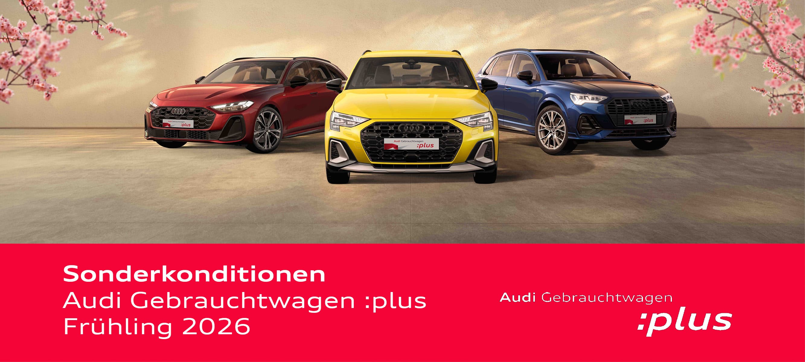 26-02-25_GW-plus-Frühling_Aktionen 2000x1000px.jpg